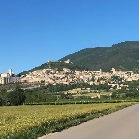 B&B Raffiori-2